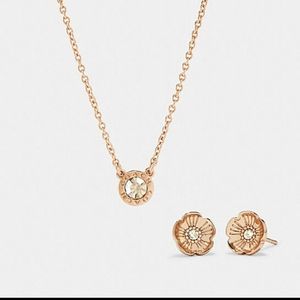 Coach Open Circle necklace & Tea Rose earrings